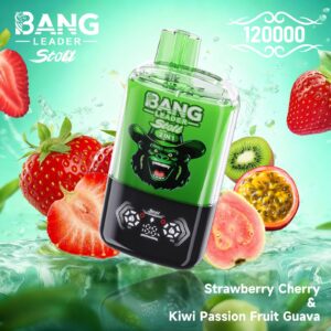 BANG LEADER STOLL 12万