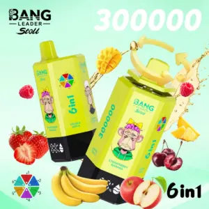 BANG LEADER 30万回